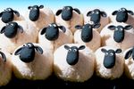 Shaun le mouton: Les aventures à la ferme