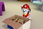 Paw Patrol - Helfer auf vier Pfoten