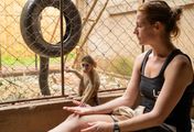 Malawi Wildlife-Rescue