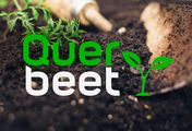 Querbeet ABC - Vegetative Vermehrung