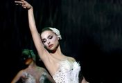 Black Swan