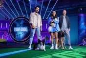 Top Dog Germany - Der beste Hund Deutschlands