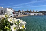 Mykonos, da will ich hin! - Mykonos