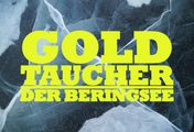 Goldtaucher der Beringsee