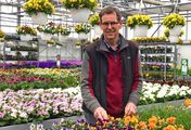 Großstadt-Frühling - Gartenprofis im Dauerstress