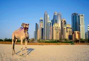 Geschichte der Vereinigten Arabischen Emirate