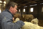 Ein Dorf und seine Landwirtschaft - Ackerbau und Viehzucht in Papendorf