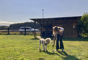 Liebste Fellnasen - Abenteuer Hundeschule