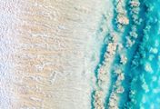 Ningaloo: Australiens Ozeanwunder