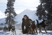 Schlittenhunde im Yukon - Faszination Wildnis