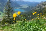 Das Tannheimer Tal - Juwel der Berge