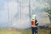 Wald in Flammen - Feuerwehr im Dauereinsatz