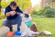 Jason und die Haustiere - Assistenzhund für Gehörlose