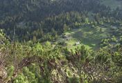 Urwald der Alpen - Wildnisgebiet Dürrenstein