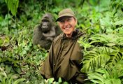 Ellen DeGeneres rettet die Gorillas