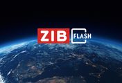 ZIB Flash