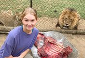 Nina und die wilden Tiere - Löwenrudel gesucht