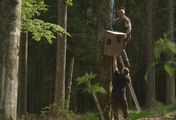 Wälder in Bayern - Faszination eines Lebensraums