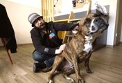 Tierische Helfer - Mit Hunden in der Suchtklinik