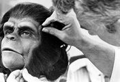 Planet der Affen - Meilenstein der Science-Fiction