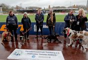 Hallo Tierheim! - Tierschutzhunde erobern Fußballstadion