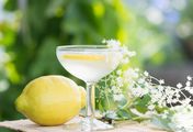 Unkraut-Limonade und andere leckere Kräuter-Rezepte - Aus der Reihe "herkules"