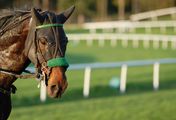 Pferderennsport Jubiläumsrenntag "150 Jahre Wiener Trabrennverein", Highlights aus Wien