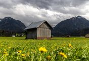 Planet Wissen - Das Allgäu - Eine Zeitreise durch Bayerns grünes Herz