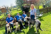 G'sund in Österreich - Tierische Helfer in der Medizin