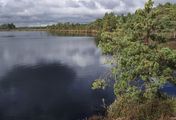 Nationalparks im Baltikum - Estland: Nationalpark Soomaa