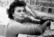 Sophia Loren - Porträt einer Diva