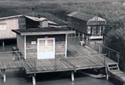 Nationalpark Neusiedler See-Seewinkel - Ein Naturjuwel im Wandel