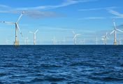 Windparks im Meer - Chance oder Risiko für die Natur?