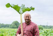 Im Bauch von Hamburg