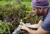 Die Insel La Réunion - Versuchslabor der Evolution