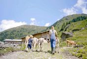 Rund um das Alpbachtal