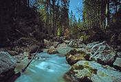 Der Bach - Naturjuwel vor der Haustür