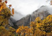 Amerikas Naturwunder - Yosemite