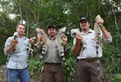 Floridas Python-Jäger
