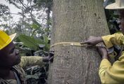 planet schule: Naturparadiese mit Zukunft - Kongo
