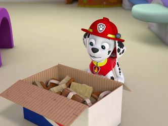 Paw Patrol - Helfer auf vier Pfoten