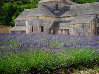 Die Provence - Frankreichs leuchtender Süden