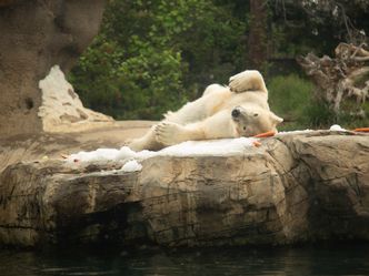 San Diego Zoo