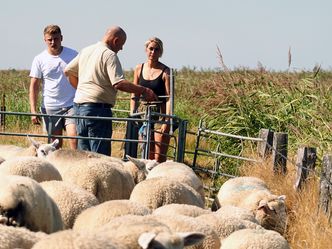 Sylt - Deutschlands edles Nordlicht