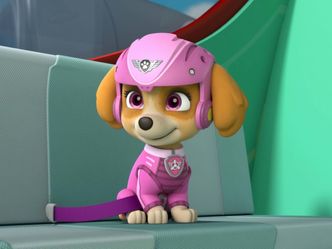 PAW Patrol - Helfer auf vier Pfoten