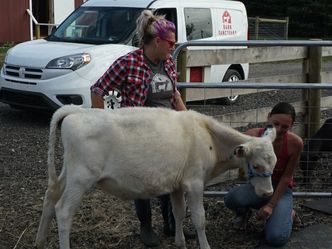 Animal Farm Michigan - Zuflucht für Tiere