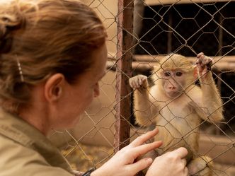 Malawi Wildlife-Rescue