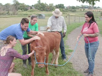 Animal Farm Michigan - Zuflucht für Tiere