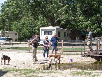 Pitbulls auf Bewährung