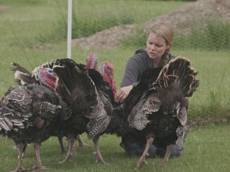 Animal Farm Michigan - Zuflucht für Tiere